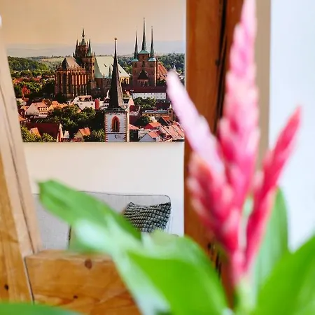 Altstadtjuwel Am Hospitalplatz - 3 Mit Balkon Διαμέρισμα Ερφούρτη