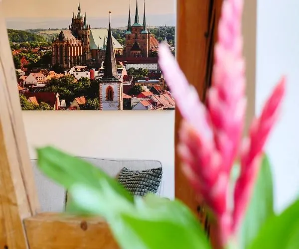 Altstadtjuwel Am Hospitalplatz - 3 Mit Balkon Appartement Erfurt